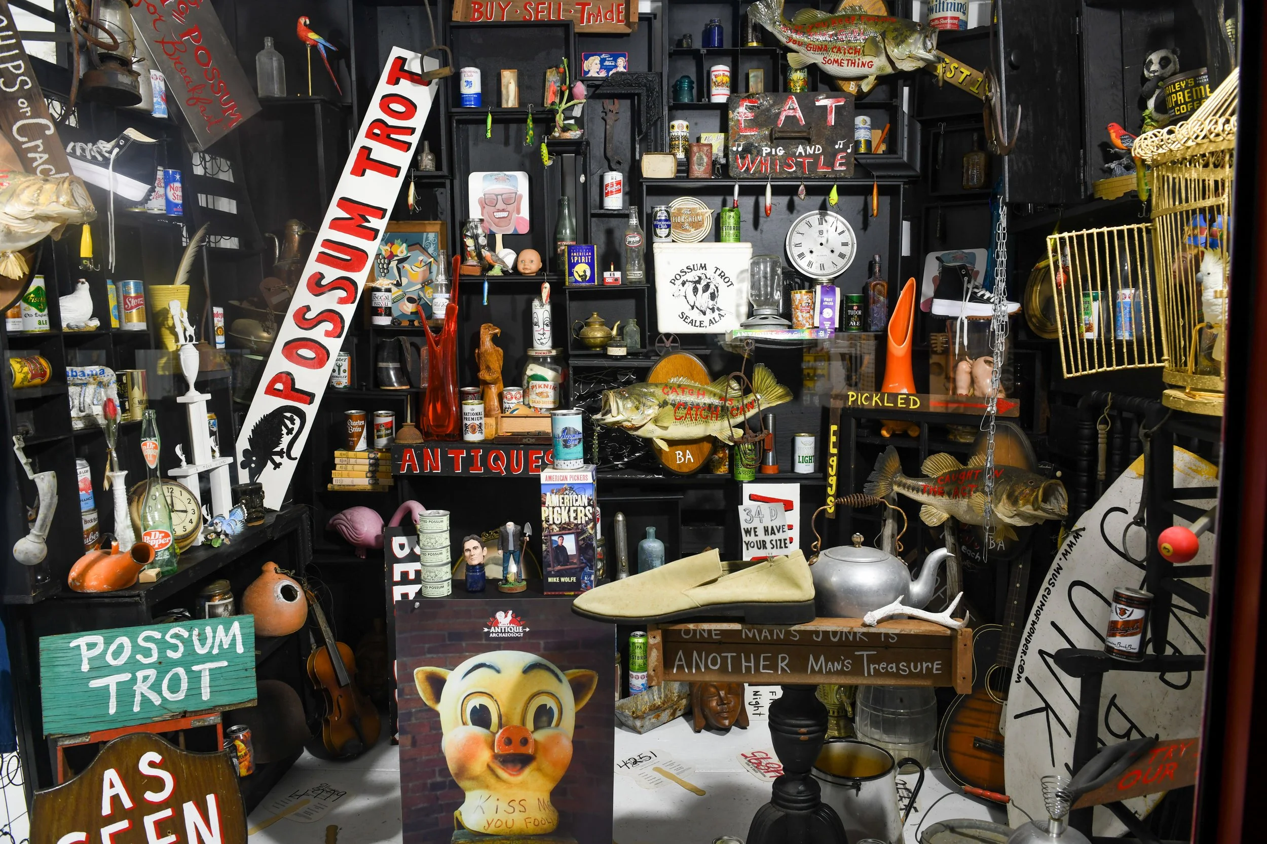Museum of Wonder Tour Experience — Museum of Wonder